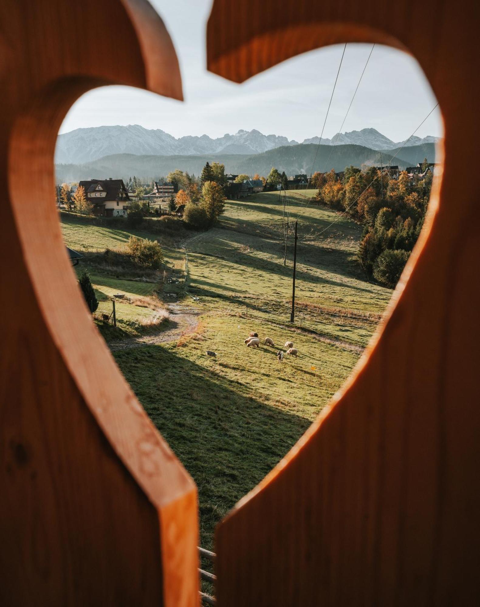 Villa Mountain Base - Dom Hrabiego Zakopane Esterno foto
